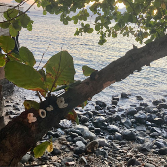 Meet your Posher, Kaia - Picture 1 of 1